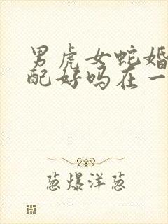 男虎女蛇婚姻相配好吗在一起好不好