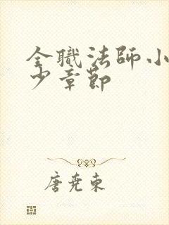 全职法师小说多少章节