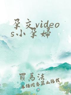 孕交videos小孕妇