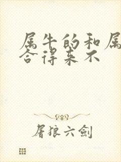 属牛的和属龙的合得来不