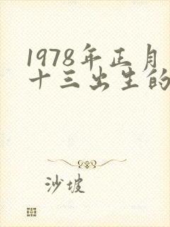 1978年正月十三出生的人命运