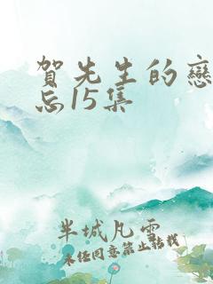 贺先生的恋恋不忘15集