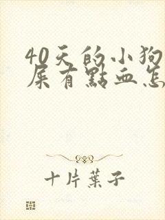 40天的小狗拉屎有点血怎么回事