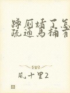 蹲厕堵了怎么办疏通马桶有妙招