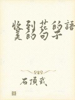 收到花的语句唯美的句子