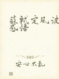 苏轼定风波人生感悟