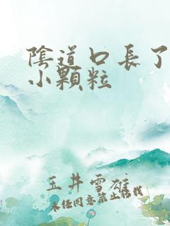 阴道口长了一些小颗粒