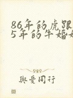 86年的虎跟85年的牛婚姻