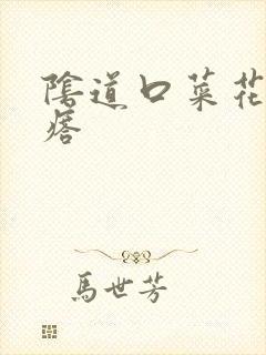 阴道口菜花状疙瘩