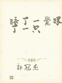 睡了一觉眼袋肿了一只