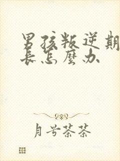 男孩叛逆期时家长怎么办