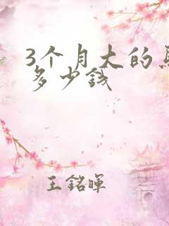 3个月大的马犬多少钱