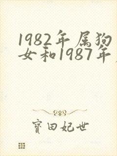 1982年属狗女和1987年属兔男婚姻