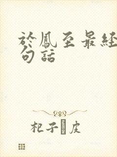 于凤至最经典十句话