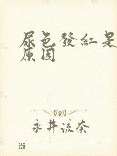 尿色发红是什么原因