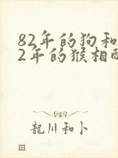 82年的狗和92年的猴相配怎么样