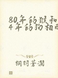 80年的猴和94年的狗相配吗