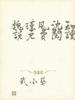 魏瑾风沈知玉小说免费阅读最新章节