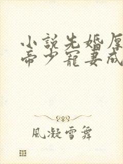 小说先婚厚爱:帝少宠妻成瘾