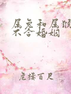 属兔和属猴的合不合婚姻