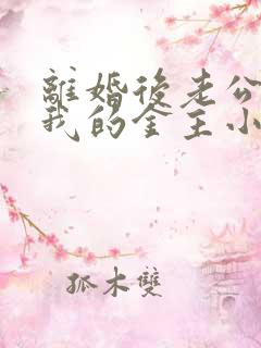 离婚后老公成了我的金主小说