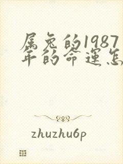 属兔的1987年的命运怎么样