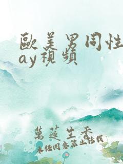 欧美男同性恋gay视频