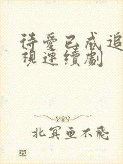 待爱已成追忆电视连续剧