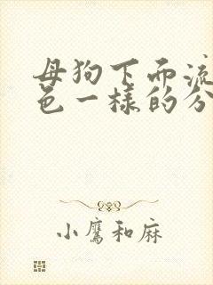 母狗下面流出白色一样的分泌物