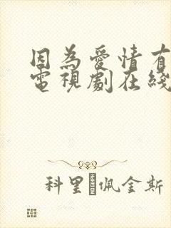 因为爱情有多美电视剧在线看