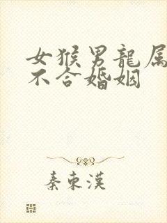 女猴男龙属相合不合婚姻