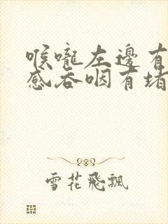 喉咙左边有异物感吞咽有堵塞感