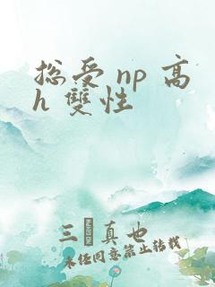 总受 np 高h 双性