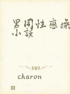 男同性恋操屁股小说