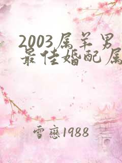 2003属羊男最佳婚配属相