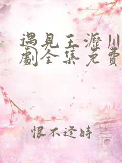 遇见王沥川电视剧全集免费观看