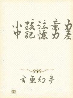 小孩注意力不集中记忆力差是缺什么