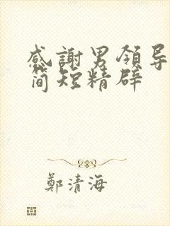 感谢男领导的话简短精辟