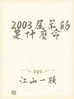 2003属羊的是什么命