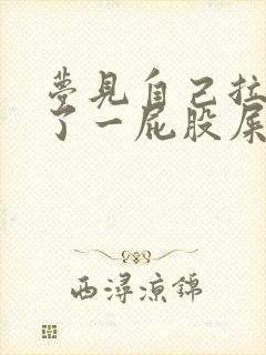 梦见自己拉屎坐了一屁股屎怎么回事儿