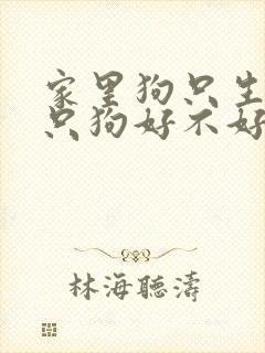 家里狗只生了一只狗好不好