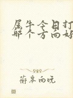 属牛今日打牌坐哪个方向好