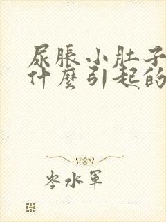 尿胀小肚子疼是什么引起的