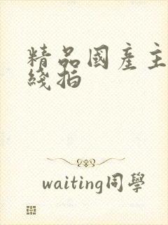 精品国产主播在线拍