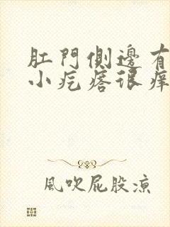 肛门侧边有一个小疙瘩很痒