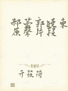 郝蕾郭晓东吻戏原声片段