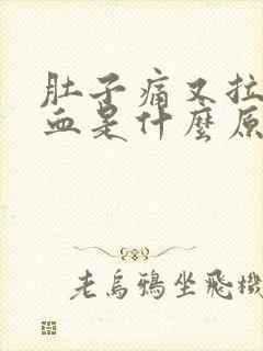 肚子痛又拉很多血是什么原因