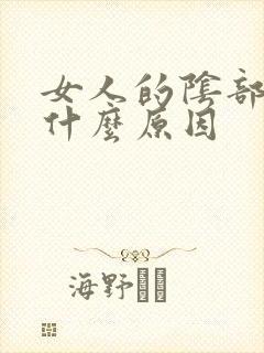 女人的阴部痒痒什么原因