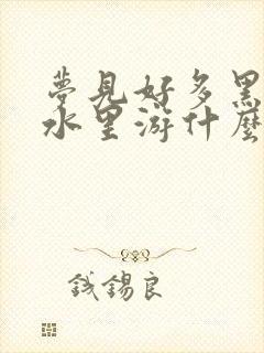 梦见好多黑鱼在水里游什么意思