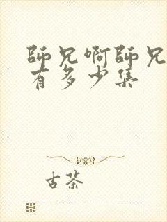 师兄啊师兄总共有多少集